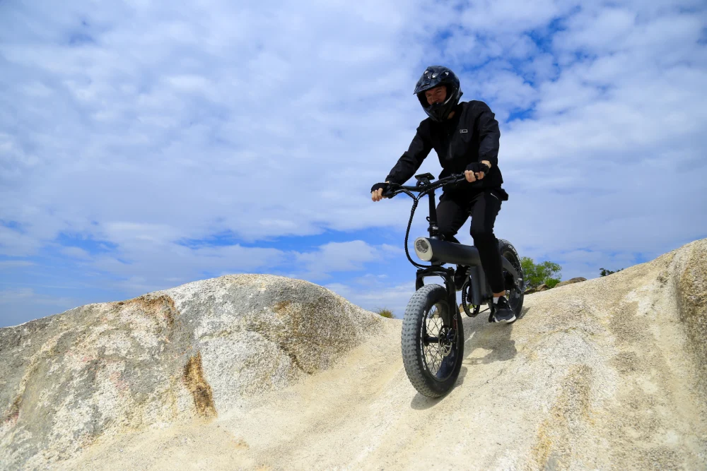 Caratteristiche delle prestazioni della mountain bike elettrica pieghevole fuoristrada